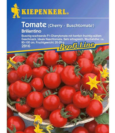 Busch-Tomate ´Brillantino´ F1 von BALDUR-Garten auf blumen.de