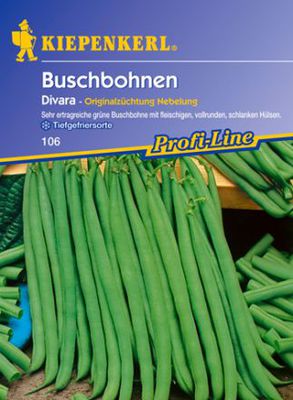 Buschbohne 'Divara'  von Gartengruen-24 auf blumen.de