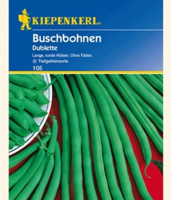 Buschbohnen ´Dublette´ von BALDUR-Garten auf blumen.de