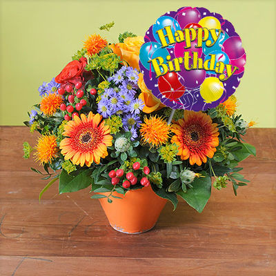 Celebration mit Happy Birthday Luftballon von Blume2000.de auf blumen.de