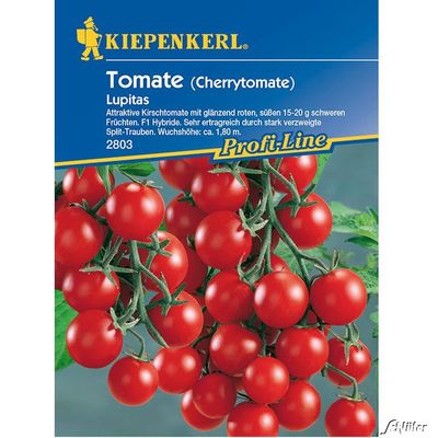 Cherry-Tomate ´Lupitas´ von Garten Schlüter auf blumen.de
