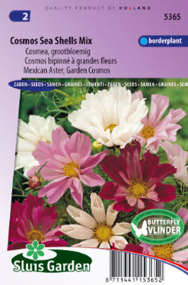 Cosmos Sea Shells Mixed (Aster) von Gartencenter Koeman auf blumen.de
