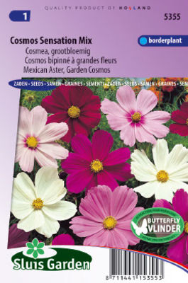 Cosmos Sensation Mixed (Aster) von Gartencenter Koeman auf blumen.de