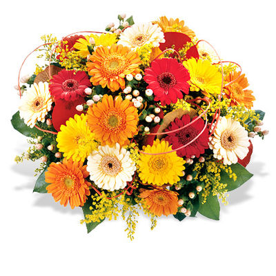 Danke für alles von Fleurop auf blumen.de