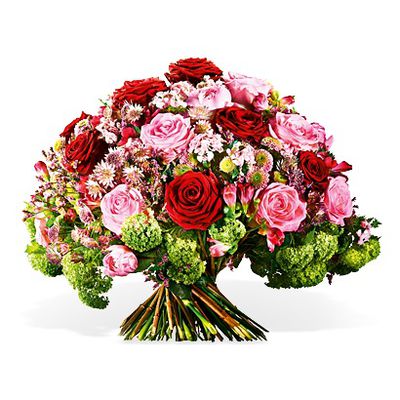 Danke für Deine Fürsorge von Fleurop auf blumen.de