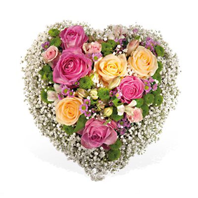 Danke für die Geborgenheit von Fleurop auf blumen.de