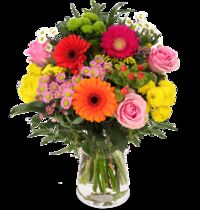 Danke Mama von Blume Ideal auf blumen.de