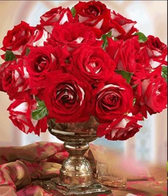 Rose der Liebe ´Château de Versailles®´ von BALDUR-Garten auf blumen.de