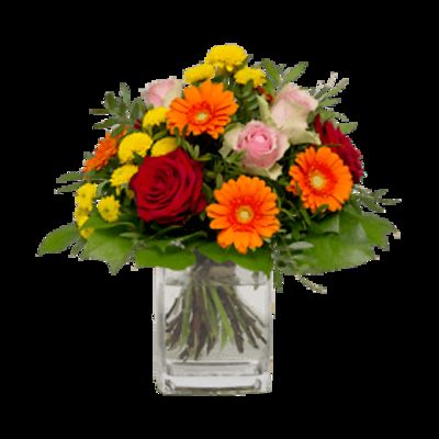 Die besten Glückwünsche von Fleurop auf blumen.de