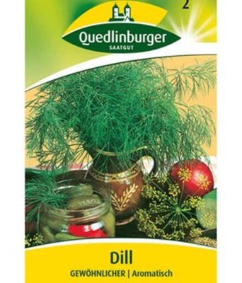 Dill (einfach) von BALDUR-Garten auf blumen.de