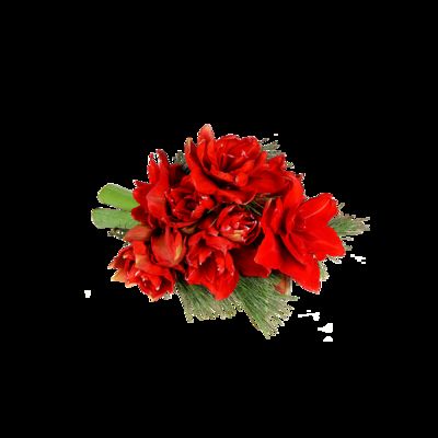 drei Amaryllis in Rot von Blume2000.de auf blumen.de