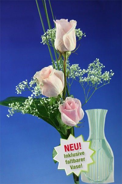 Drei große rosa Rosen von Rosenbote.de auf blumen.de