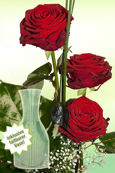 Drei rote Rosen von Rosenbote.de auf blumen.de