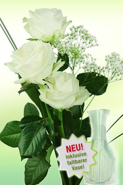 Drei weiße Rosen von Rosenbote.de auf blumen.de