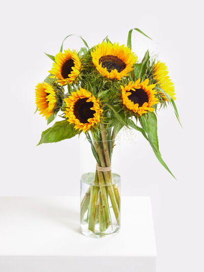 Du bist meine Sonne von Fleurop auf blumen.de