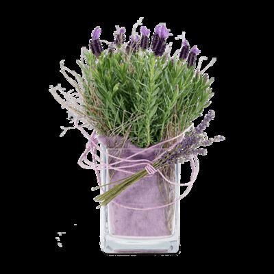 duftender Lavendel  von Fleurop auf blumen.de