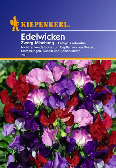 Edelwicken Zwerg-Mischung von TOM-GARTEN auf blumen.de