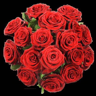 Einfach rote Rosen von Fleurop auf blumen.de