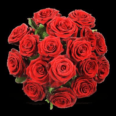 Einfach rote Rosen  von Fleurop auf blumen.de
