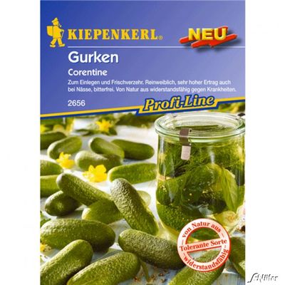 Einlegegurke ´Corentine´ von Garten Schlüter auf blumen.de