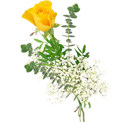 Einzelne gelbe Rose von Bluvesa auf blumen.de