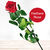 Einzelne rote Rose  von Bluvesa auf blumen.de