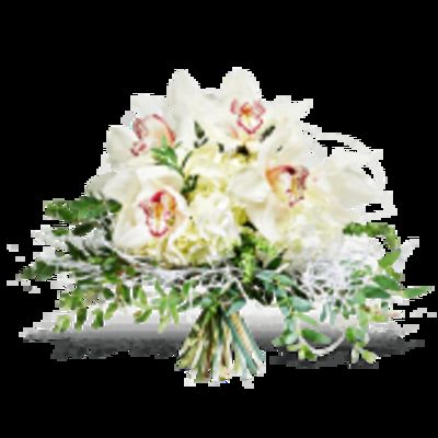 Eisblütentraum  von Fleurop auf blumen.de