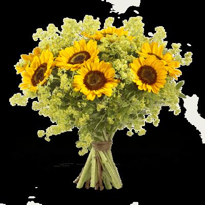 Energiebündel  von Fleurop auf blumen.de