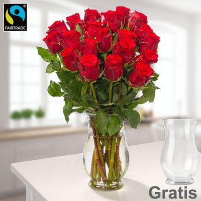 FAIRTRADE Rosen in Rot von FloraPrima auf blumen.de