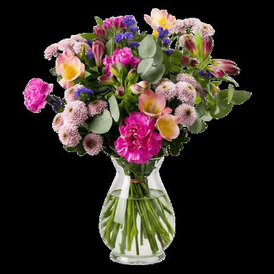 Farbenfreude von Blume Ideal auf blumen.de
