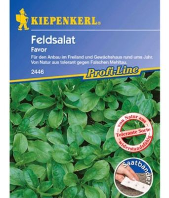 Feldsalat ´Favor´ von BALDUR-Garten auf blumen.de