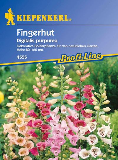 Fingerhut Digitalis purpurea von TOM-GARTEN auf blumen.de