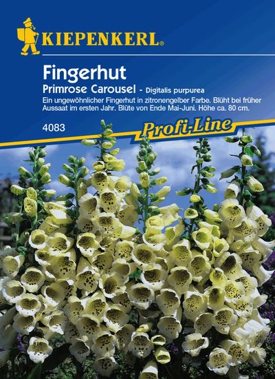 Fingerhut Primose Caroussel von TOM-GARTEN auf blumen.de