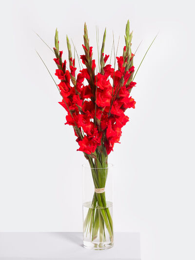 Flammendes Feuer von Fleurop auf blumen.de