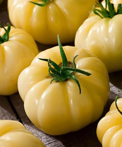 Fleischtomate 'White Beefsteak' von Bakker auf blumen.de