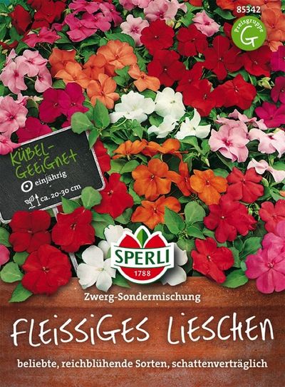 Fleißiges Lieschen Zwerg-Sondermischung von TOM-GARTEN auf blumen.de