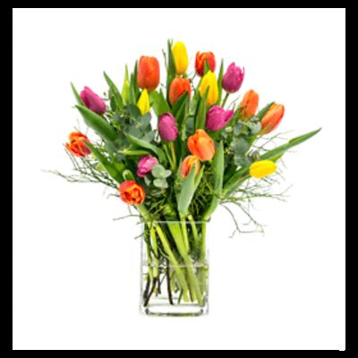 Fröhliches Farbenspiel von Fleurop auf blumen.de