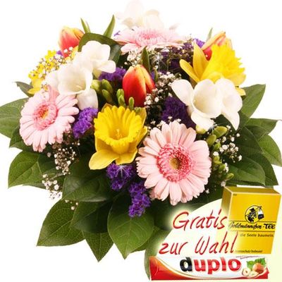 Frühlings-Traum          von Blumenfee auf blumen.de