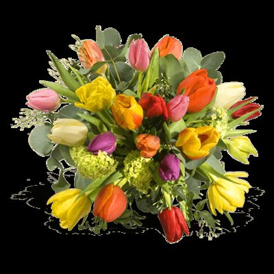 Frühlingstrauß aus Tuplen von Fleurop auf blumen.de