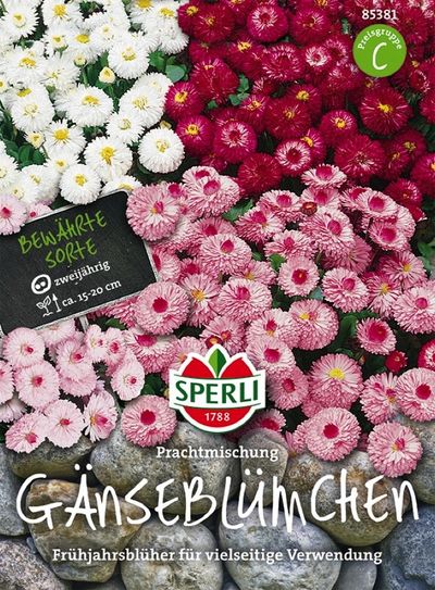 Gänseblümchen Prachtmischung von TOM-GARTEN auf blumen.de