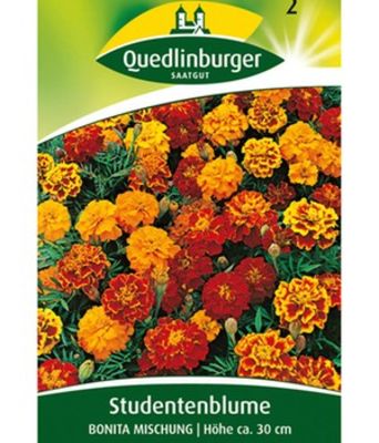 Gefüllte Tagetes-Mischung von BALDUR-Garten auf blumen.de