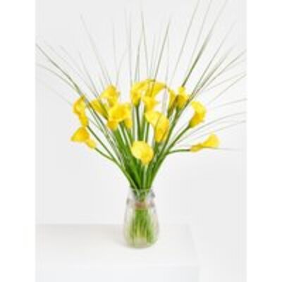 gelbe Callas von Fleurop auf blumen.de