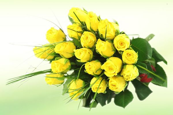 Gelbe Rosen im Bund von Rosenbote.de auf blumen.de