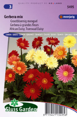 Gerbera gemischt von SamenKaufen.de auf blumen.de