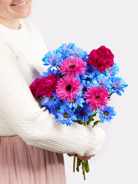 Germini, Nelken und Chrysanthemen von Fleurop auf blumen.de