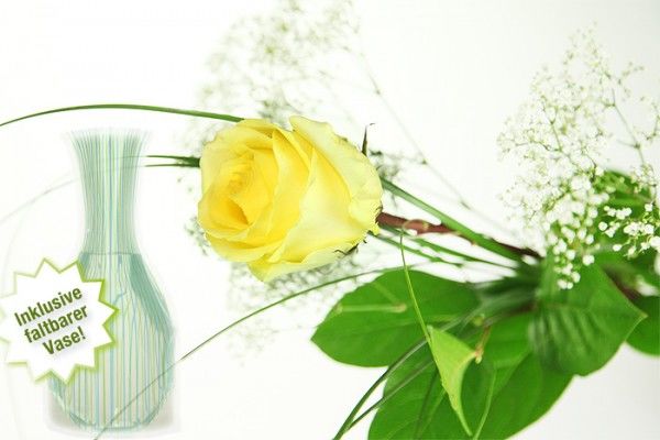 Große gelbe Rose von Rosenbote.de auf blumen.de