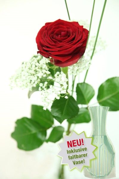 Große rote Rose von Rosenbote.de auf blumen.de