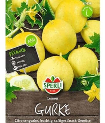 Gurke ´Lemon´ von BALDUR-Garten auf blumen.de