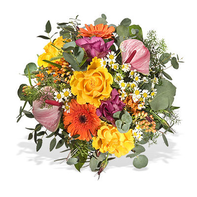 Gute Besserung von Fleurop auf blumen.de