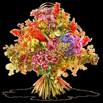 Happy Birthday im Herbst von Fleurop auf blumen.de